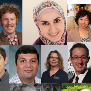 a collage of the faculty members in the Engineering and Design Department. 